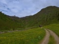 Beautiful alpine valley with blooming meadows, wooden hut and waterfall near AuÃÅ¸ervillgraten, Austria